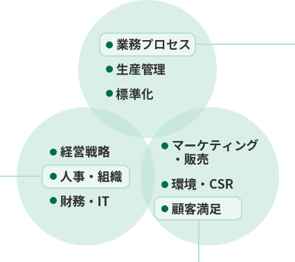 コンサルティング領域